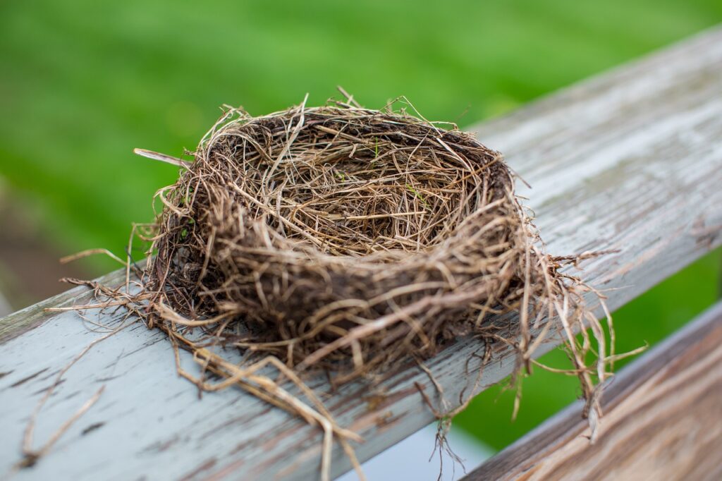 Empty-Nest